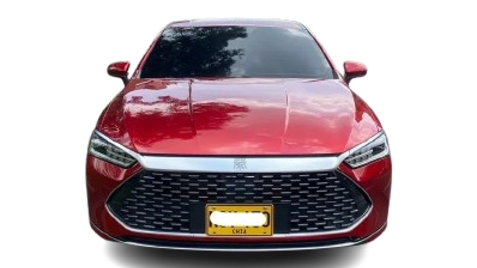 BYD Quin Plus 2024